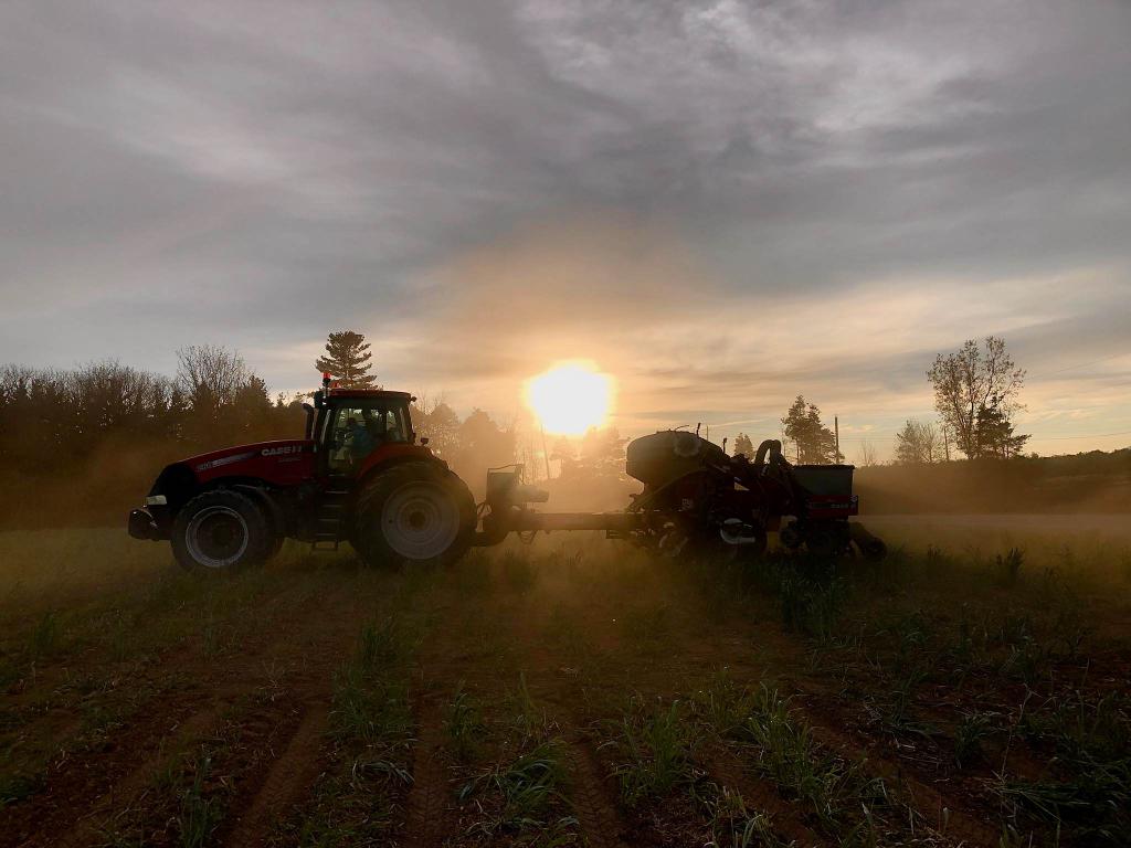 Great shot my wife got this evening finishing up #cornplant22.