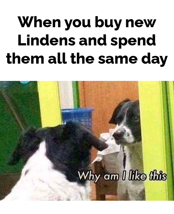 I need help 🙈 

#SecondLife #MadPeaverse fun