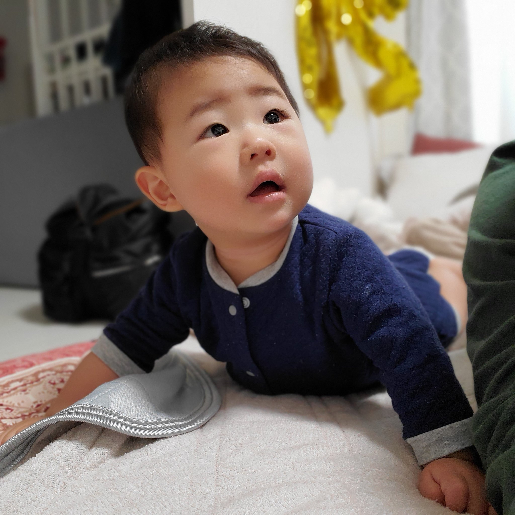 تويتر パパクマ 家族が宝物 على تويتر 朝からうつ伏せが楽しいようです W 赤ちゃん うつぶせ T Co M4idf9wk2r