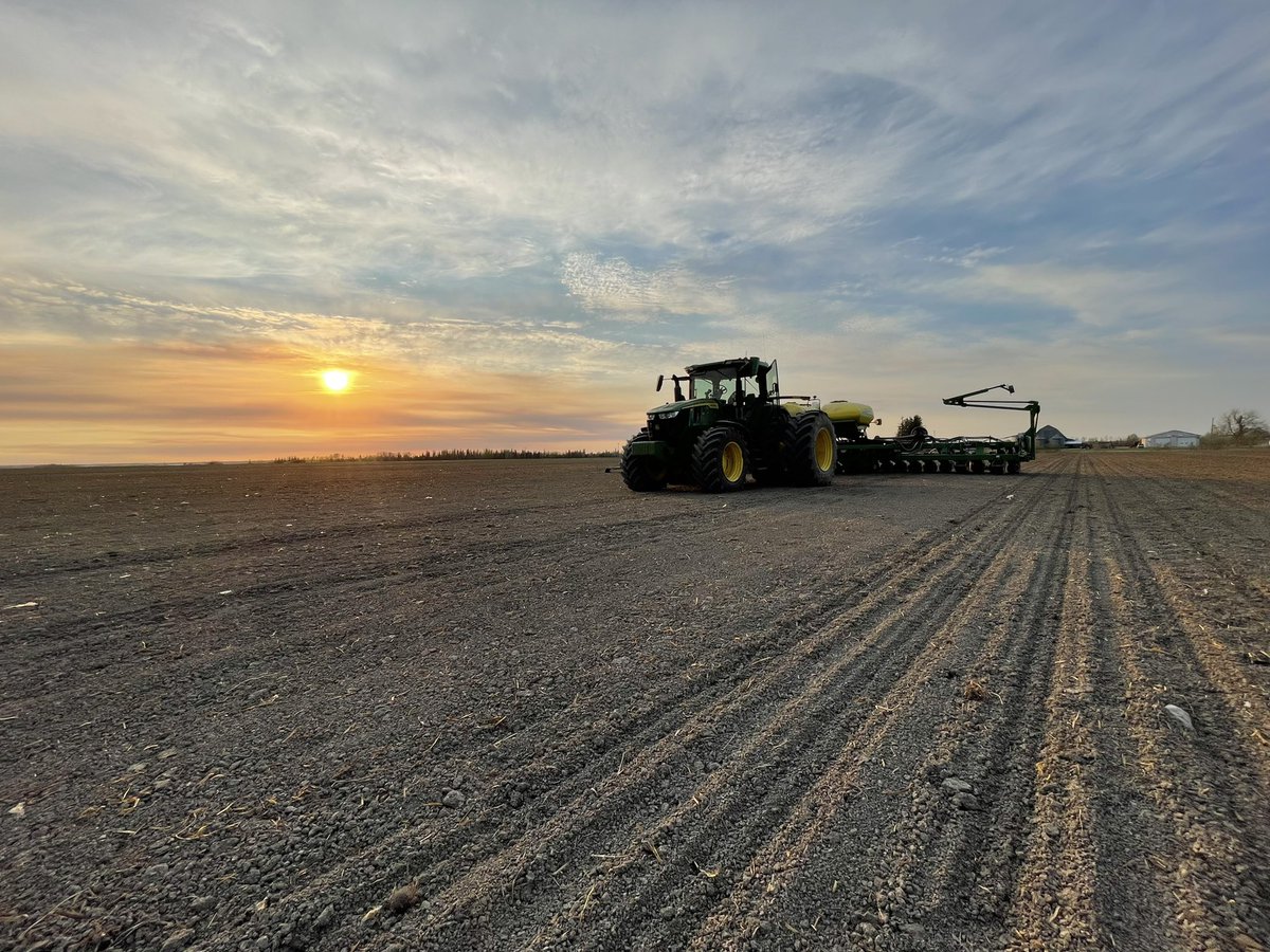 kiel mccormick tweet media