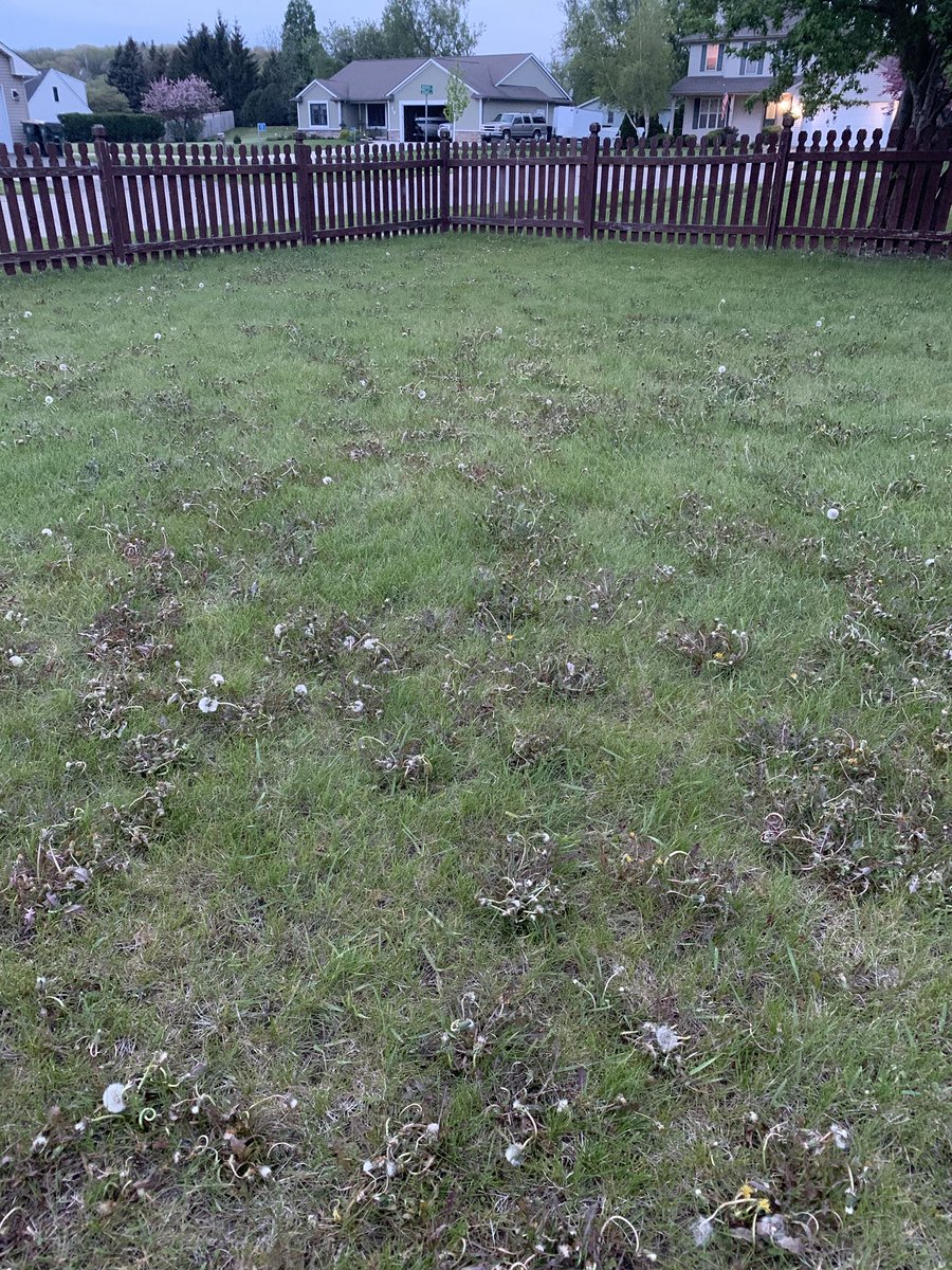 Mark Simon (@simonsez0420) on Twitter photo Gave a coworker some tzone I had bought to spray weeds. Would call that a success. Too bad you don’t sell anymore <a href="/jfcanning/">Jim Canning</a> 👍 Gave a coworker some tzone I had bought to spray weeds. Would call that a success. Too bad you don’t sell anymore <a href="/jfcanning/">Jim Canning</a> 👍