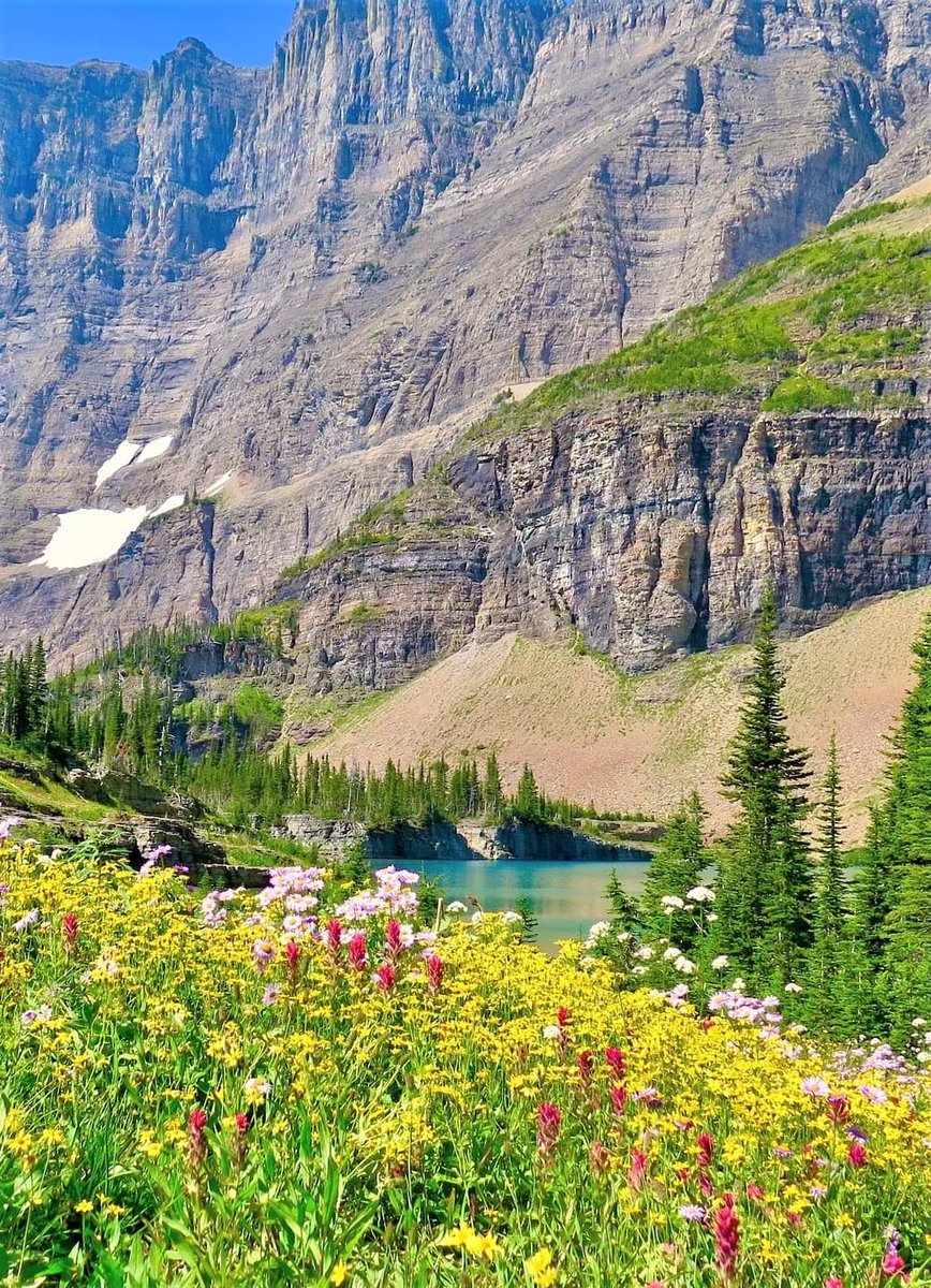 VickyThakurx's tweet image. 🌴🌴#GOOD_MORNING 🌻 💐🌸💮🏵️🌹🌺🌺🥀🌻🌼🌷🌱🪴🌲🌳🌴🌵🌾🌿☘️🍀🍁🍂🍃🏵️🏵️🌞

⛳ ⛳ #जय_श्रीराम 🙏 ⛳ ⛳ ⛳