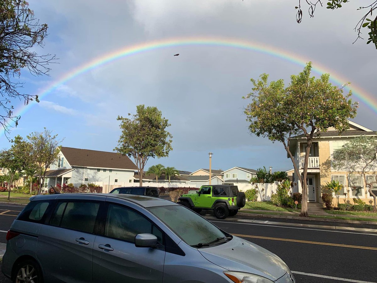 Brie Kotula tweet media