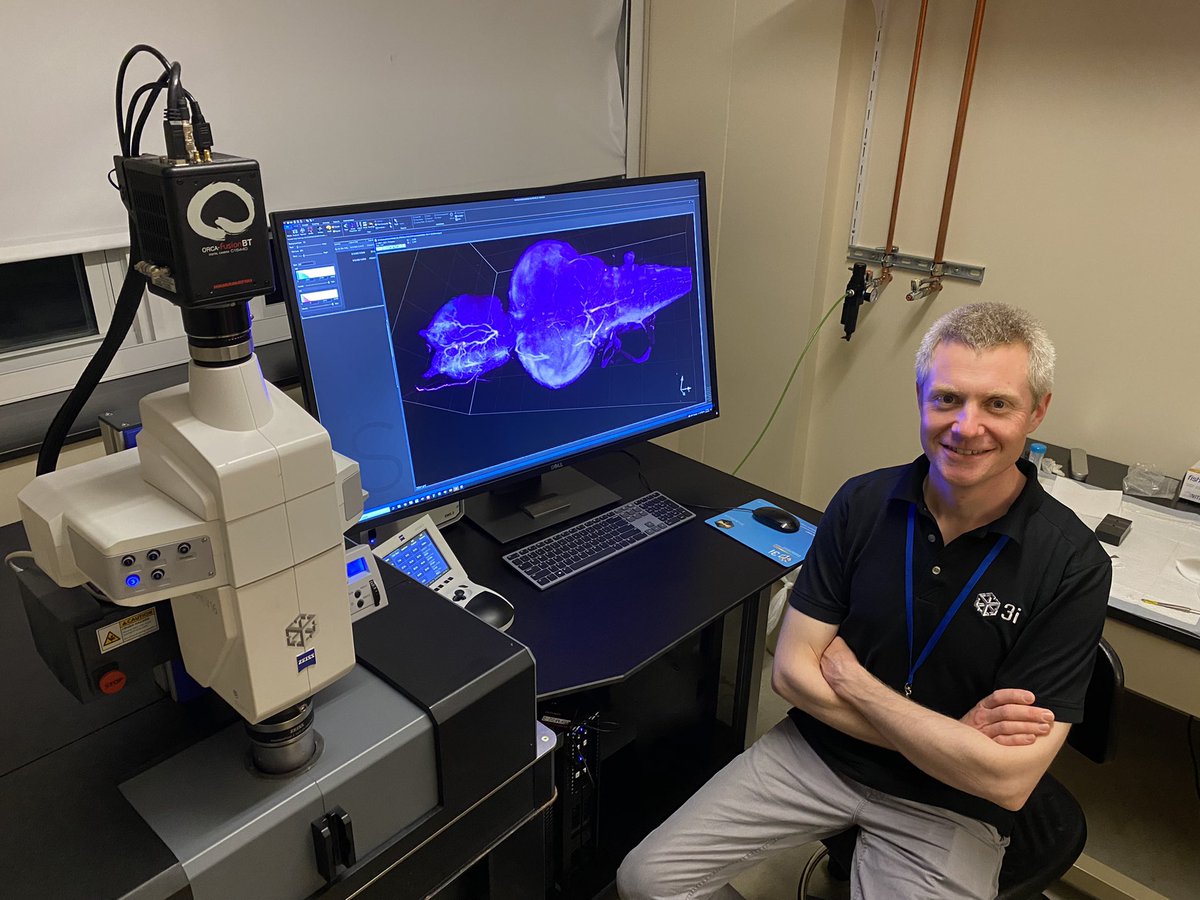 Daniel von Wangenheim of 3i in Germany proudly shows off an image of a cleared zebra fish on 3i’s Cleared Tissue Light Sheet system using a Hamamatsu Fusion BT camera.  <a href="/MBLScience/">Marine Biological Laboratory (MBL)</a> <a href="/3i_inc/">3i</a> @LSFMMBL <a href="/HamamatsuPhoton/">Hamamatsu</a>