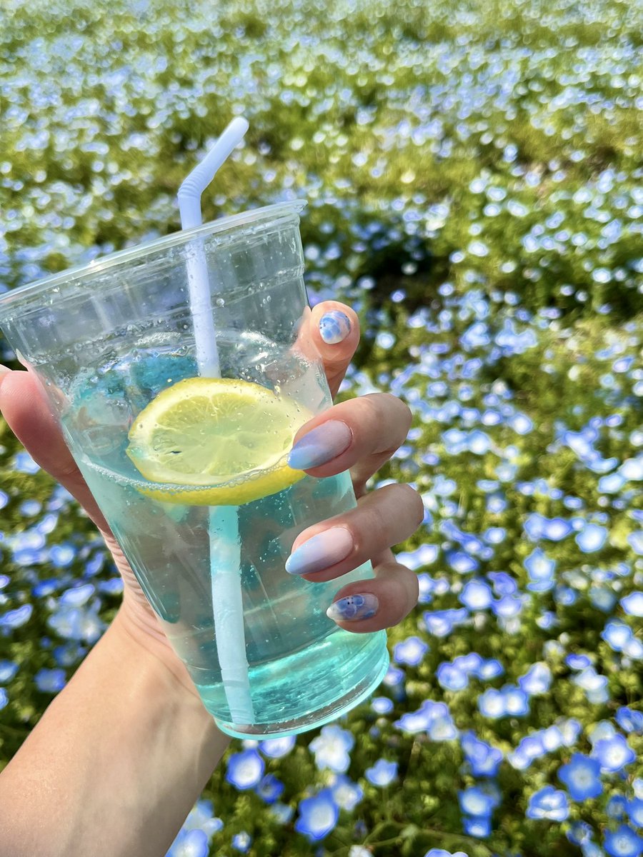 HOMEI_nail's tweet photo. ネモフィラとネモフィラネイル💙
また何かに合わせて
ネイルしたいなぁ☺️✨
今日と明日
アトリエに入店いたします🙋♀️
京橋アトリエ ゆりり
#NE76 #NE141 #NE178 #WG1 #NE7
#オーロラマグネットトップジェル https://t.co/56TlAaGyK4