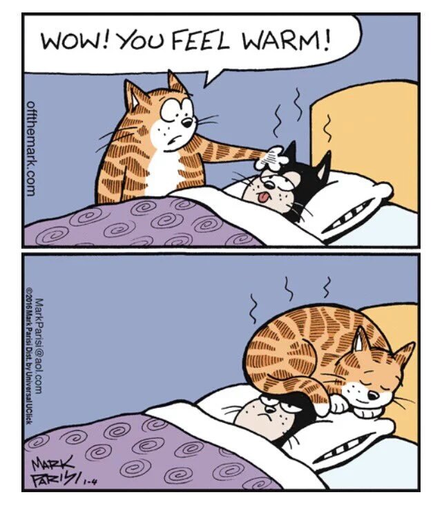 Petcaptions's tweet photo. https://t.co/5Hnn6P2Pjs