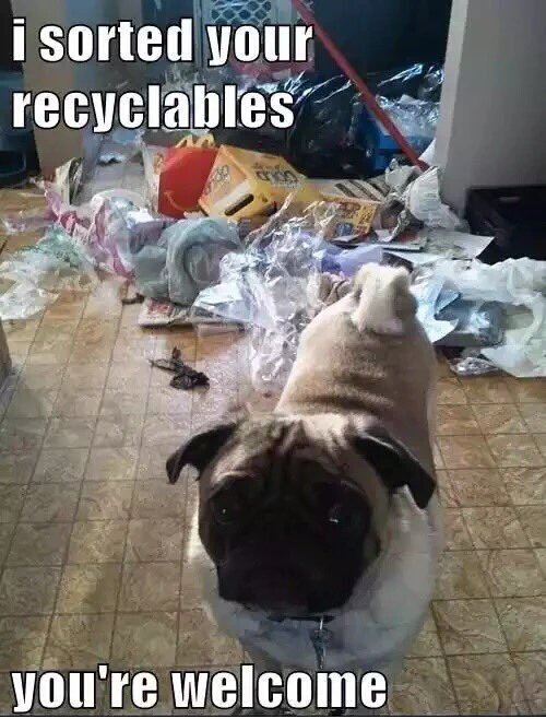 Petcaptions's tweet photo. https://t.co/9axZpw6aap