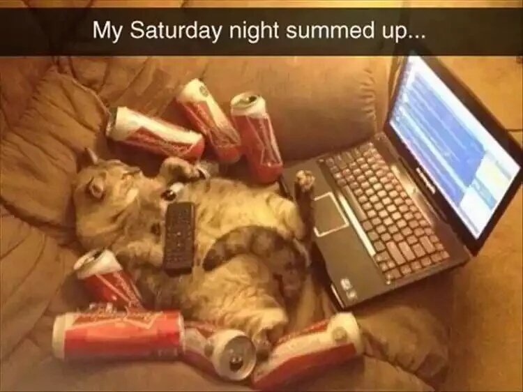 Petcaptions's tweet photo. https://t.co/fF5TGIwDCB