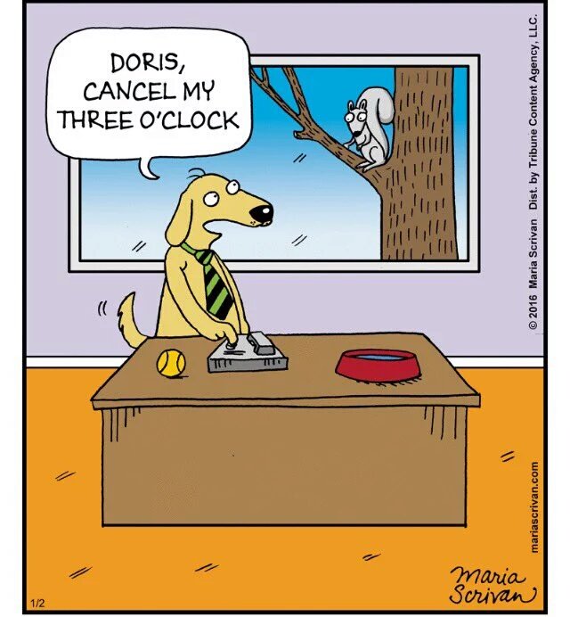 Petcaptions's tweet photo. https://t.co/04C6IHiMwu