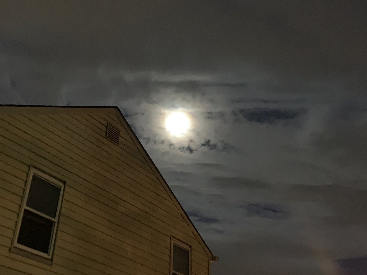 the twins tweet media