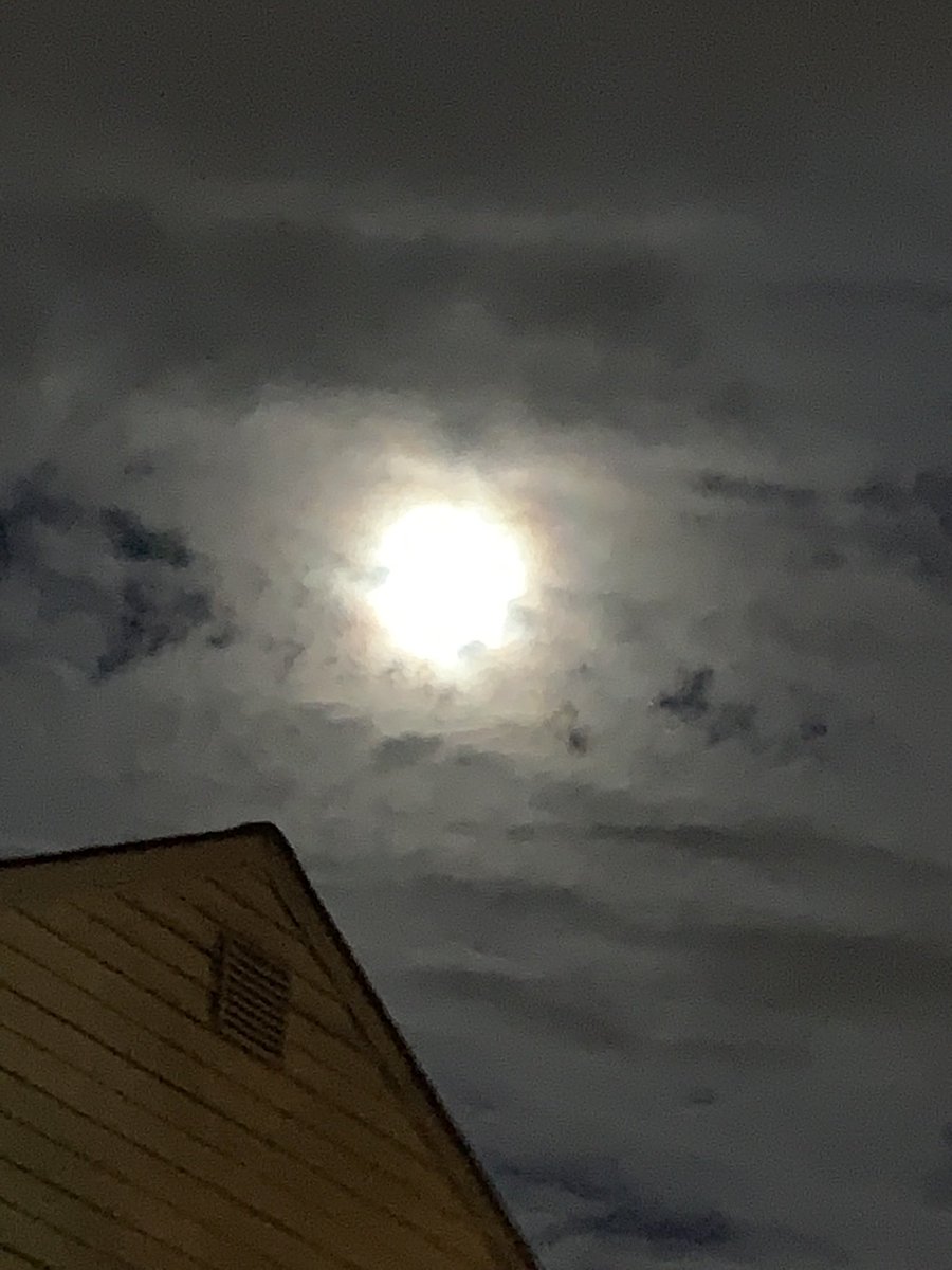 the twins tweet media