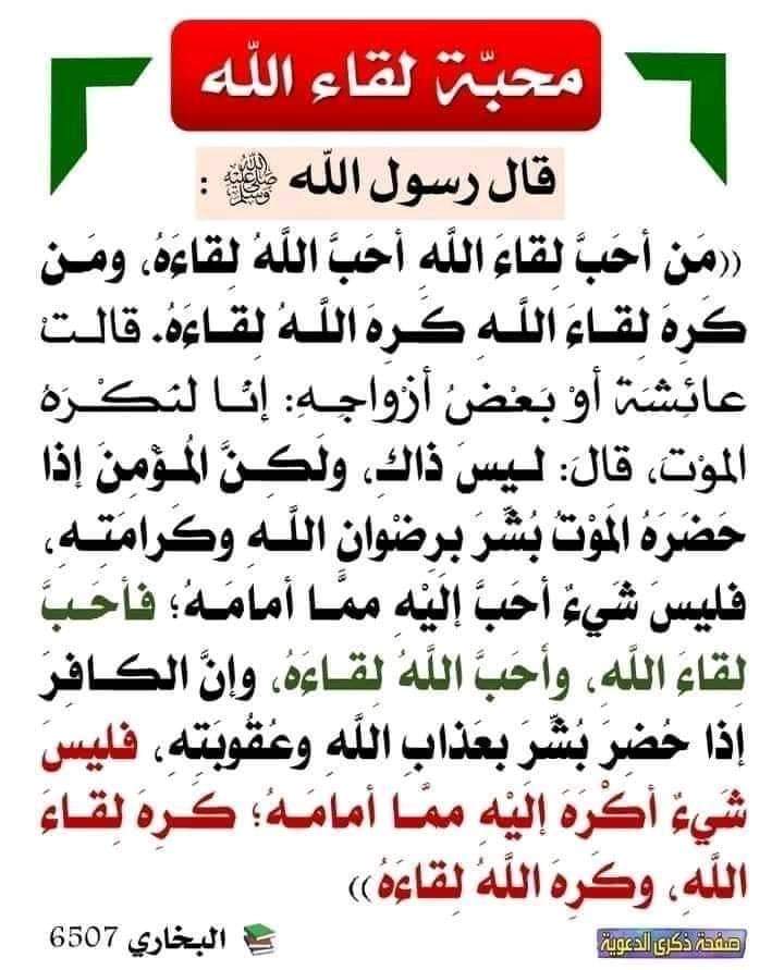 Sheref tweet media