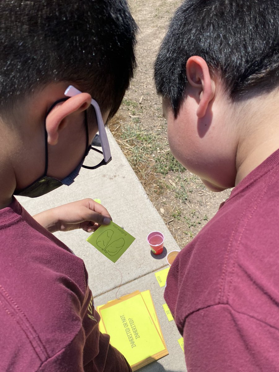 MissBSanchez's tweet photo. The hardest working 5th graders! They make it all worth it. So beyond proud of them for giving all of their effort in return till the very end.💚 They finished the day strong with science team relay races outside! 🤩 https://t.co/8UNnnzBuTo