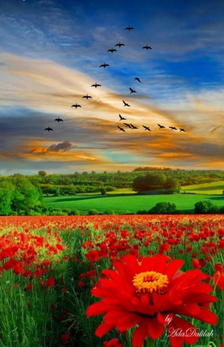 Eselamünaleyküm hayırlı sabahlar mutlu hafta sonları