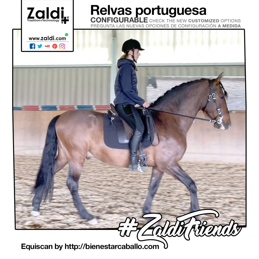 Zaldihipica's tweet photo. Today #ZaldiFriends with Roxanne & Gorgorito. She ride on Relvas - Zaldi dressage saddle with portuguese aesthetics. Made with special #equiscan horse measurement by https://t.co/5utg2WS00u
USA our online shop https://t.co/Ie2tWiTcrM
#zaldi #customizedsaddles #portuguesesaddle https://t.co/bQePjNBpxT