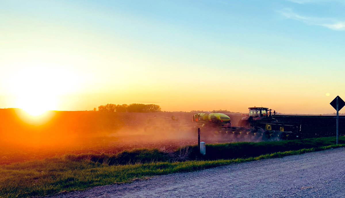 Beautiful day to #Plant22