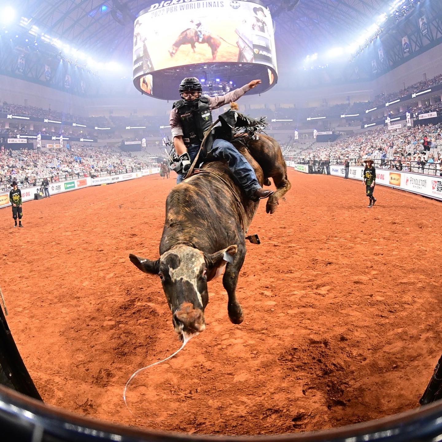 PBR on Twitter "The action is BIG inside of Dickies Arena 🔥 https//t