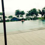 ツイートに含まれる画像