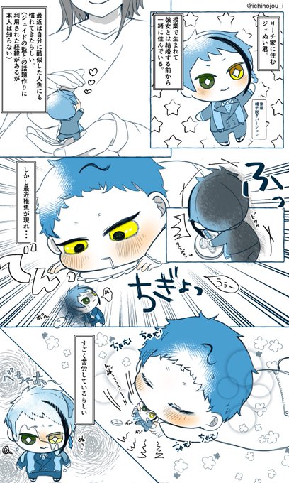 ジェ監🐬🌸11匹の稚魚ちゃん達シリーズ
未来捏造稚魚注意
お宅のジェぬいのお話
小さい身体で子守するぬい
 #twstプラス 