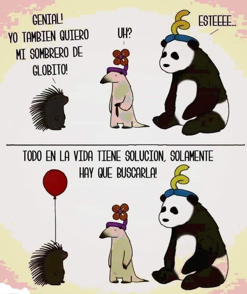 Señora Jennings (@maestradhs) on Twitter photo 