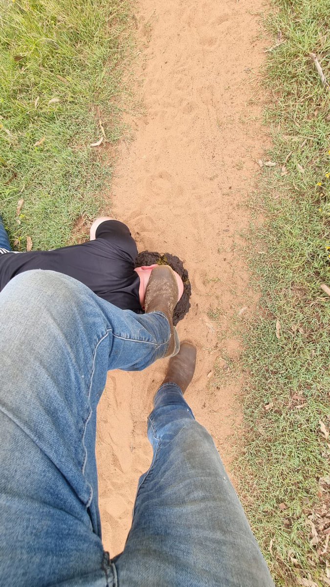 cowboy_alpha's tweet photo. I’m back online fags! #findom #fag #fagcash #tribute https://t.co/f8xSE41wnD