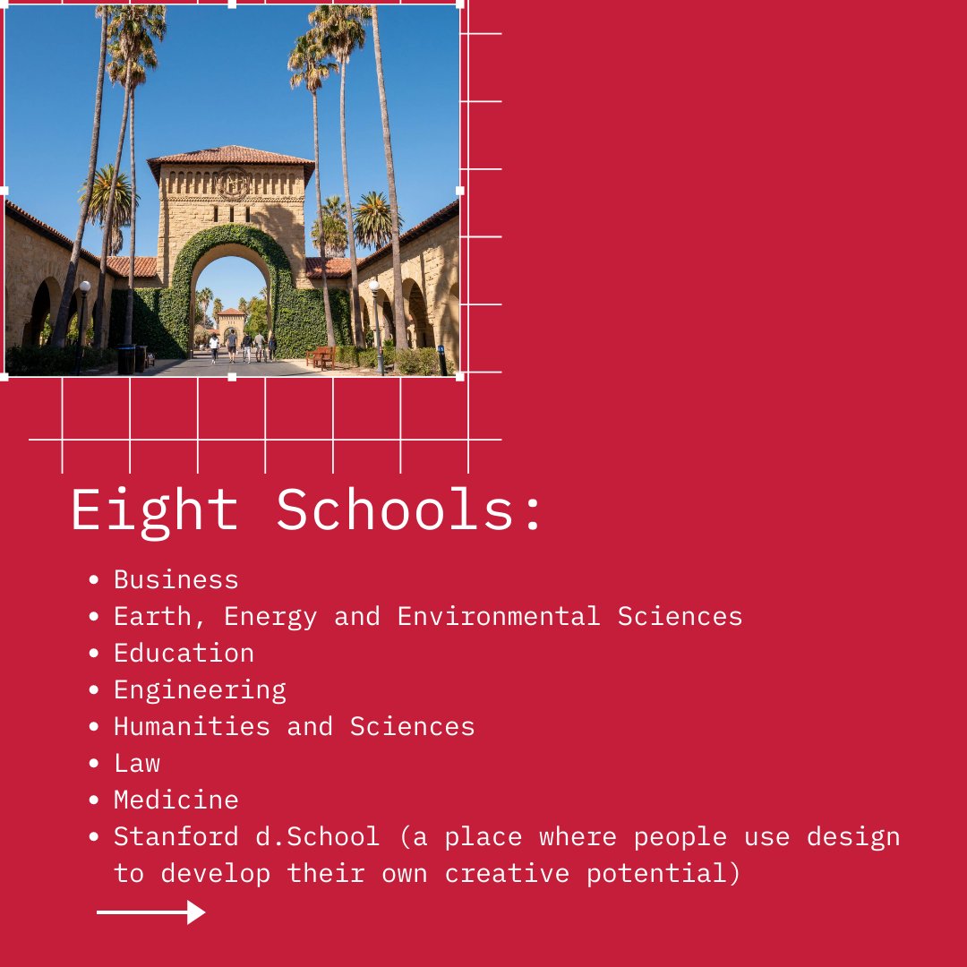 AdmitReality's tweet photo. Our next school profile is Stanford
University, a private research institution in California's
Bay Area. Go trees! 🌲 
@Stanford https://t.co/yFo7V2hP5Q