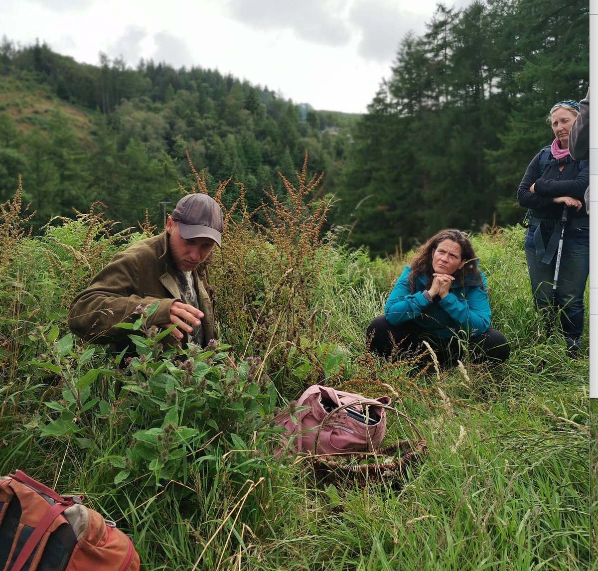 Naomi Schillinger tweet media