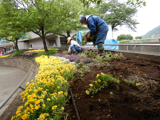 تويتر 津久井湖城山公園 على تويتر Gwが終わり 公園の花壇は夏花への準備が始まっています 今日は 冬花の撤去作業 少しの間 花壇 が寂しくなりますが 夏の花壇お楽しみに 公園 花 津久井湖 花の苑地 T Co Fmo0tpoyeh