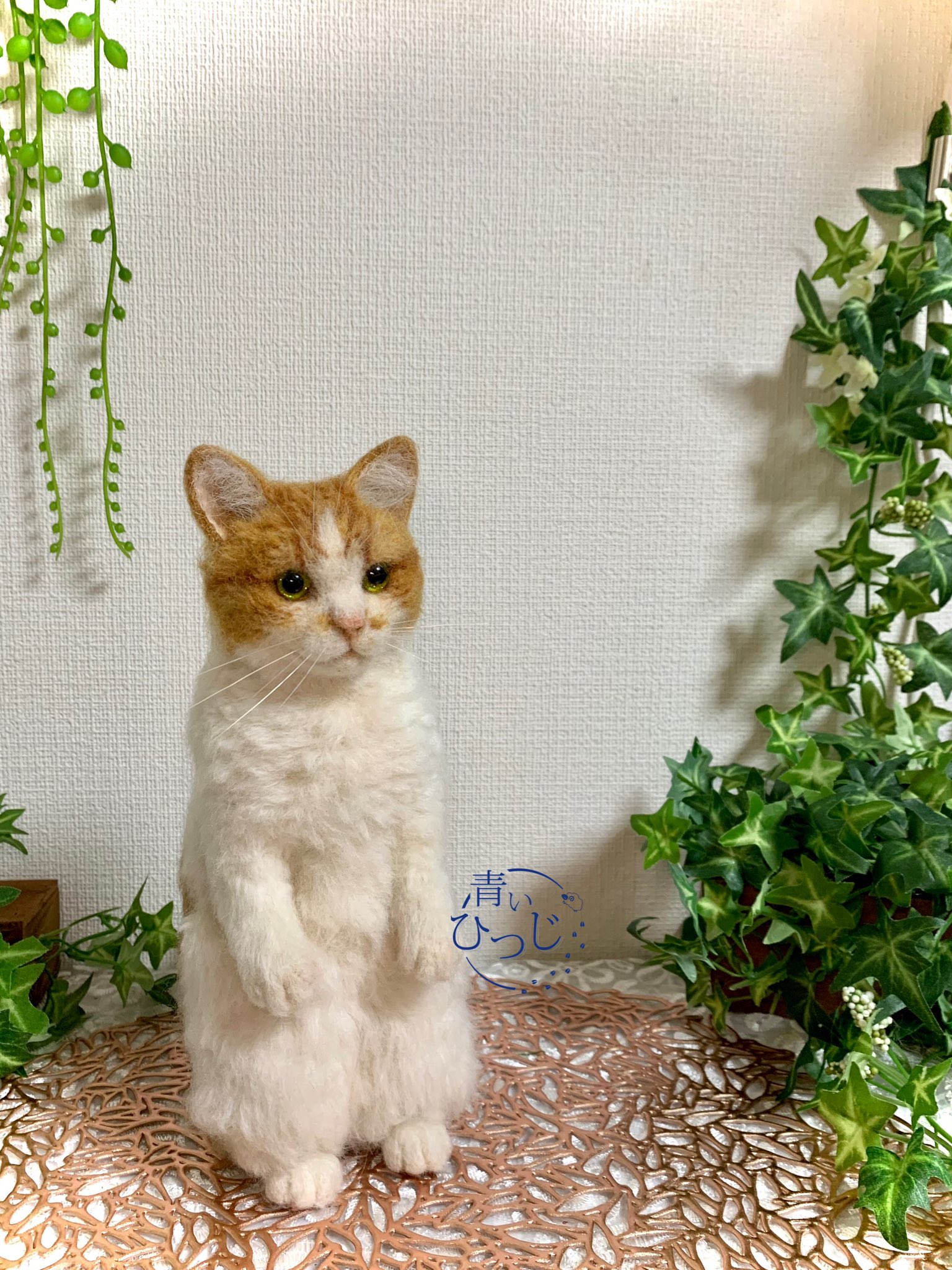 マユ マンチカン立ちの子 羊毛フェルト マンチカン マンチカン立ち 茶白 猫 T Co Pp6jizlhvz Twitter