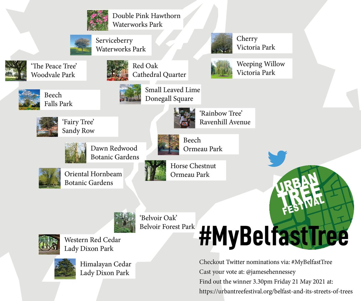 JamesEHennessey's tweet photo. @glendadavies @UrbanTreeFest @belfastcc @WoodlandTrust @Forest_Research @BelfastHills @TheRowYouKnow Here's last year's #MyBelfastTree map. https://t.co/x3fw7KD19M