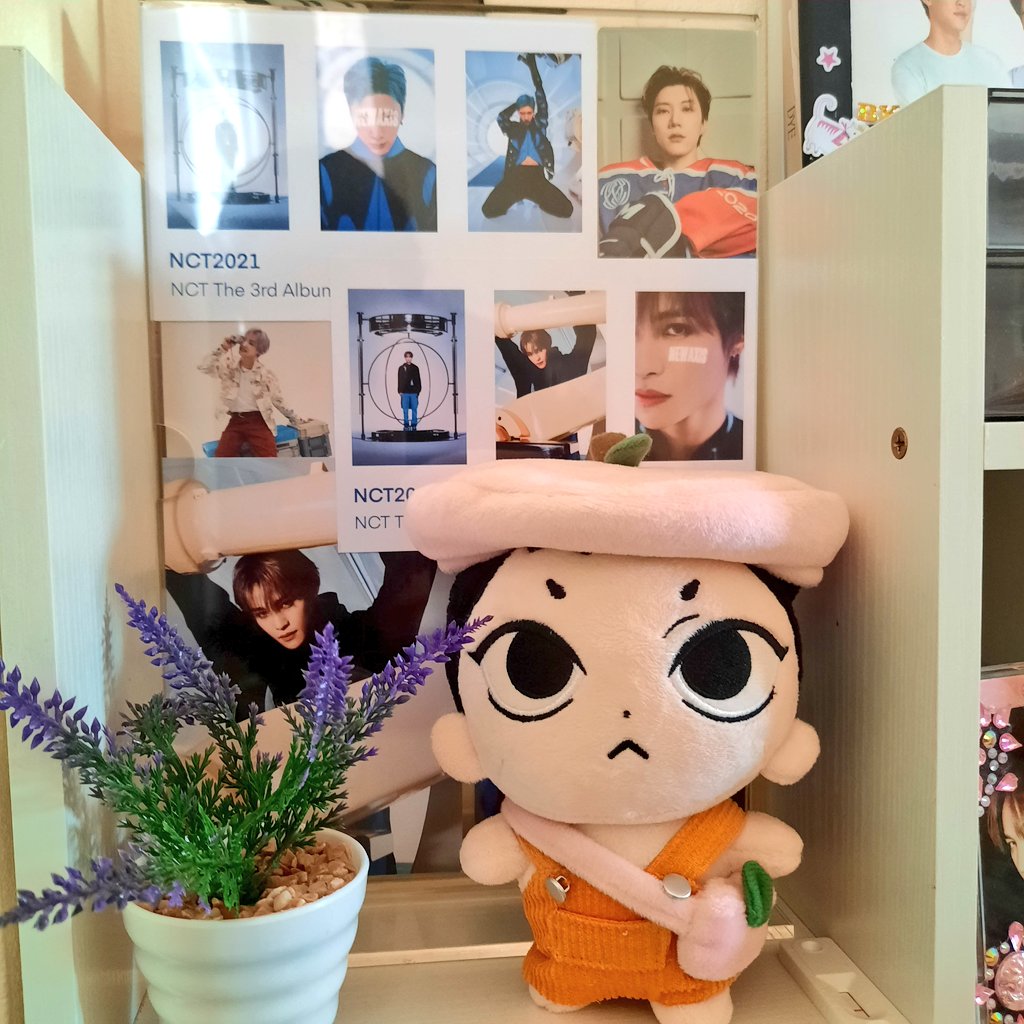 zanso_lee's tweet photo. ได้รับน้องแล้วนะคะถึงที่หมายอย่างปลอดภัยเลย ขอบคุณสำหรับของแถมน่ารักๆด้วยนะคะ น่ารักที่สุดเลยยย💖#10catReview https://t.co/6zSXZh6Vrk