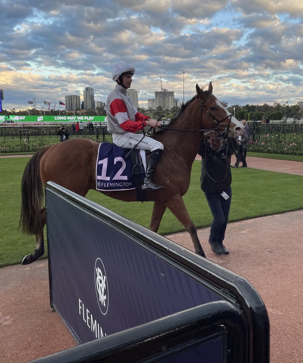 NoorilimPark's tweet photo. Homebred EASY SINGLE rounds off a great day for the farm!!
@cmaherracing @JyeMcNeil #DOULL #EASYSINGLE https://t.co/R1liAJkqwi