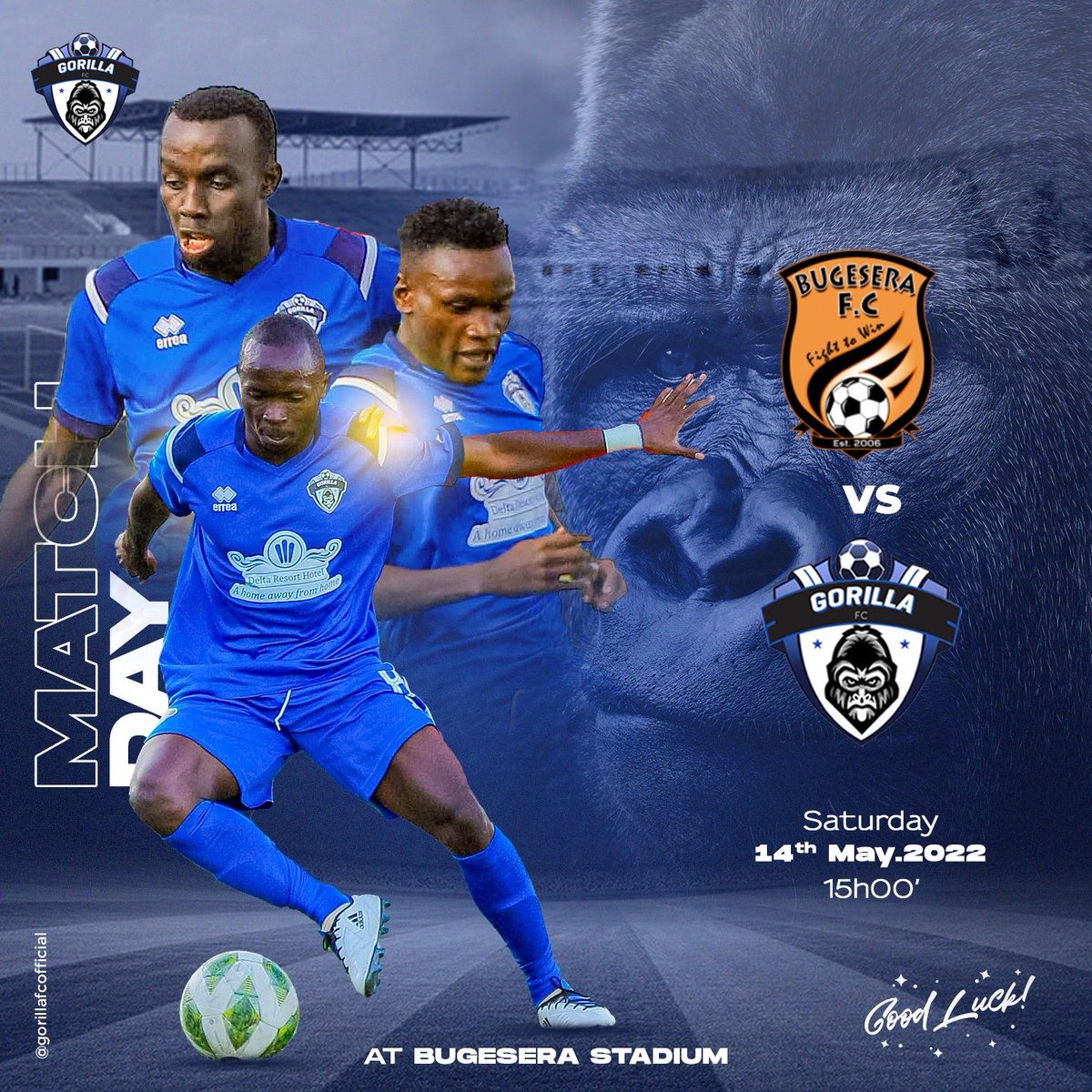 GorillaFcOfficial tweet media