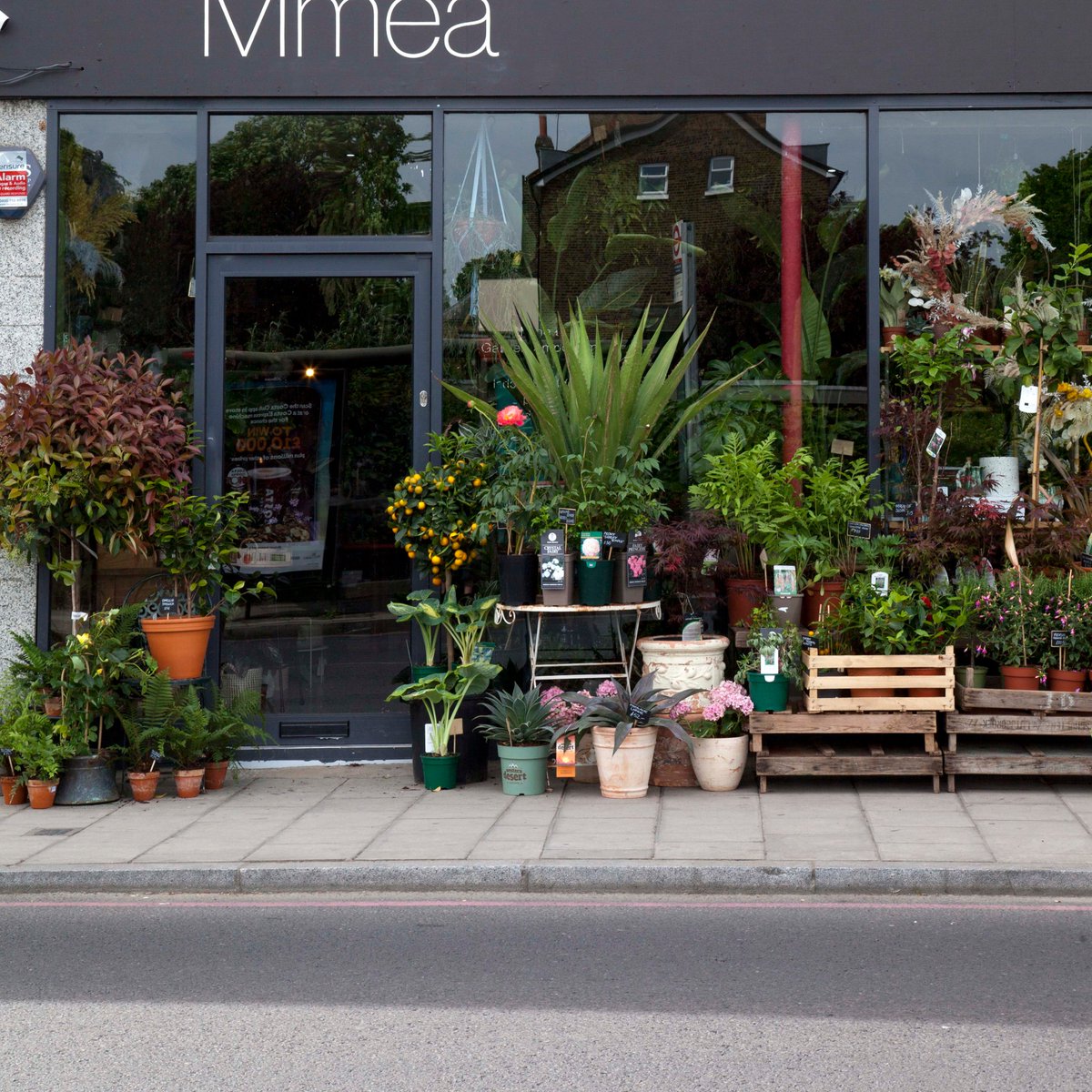 Reminder of our weekend opening hours. Saturday 10am-6pm. Sunday 11am-5pm. 

We're all stocked up with indoor &amp; outdoor plants, pots &amp; garden accessories and beautiful homeware. Things are looking good! 💫

#SE6 #ForestHill #SE23 #CroftonPark #Brockley #houseplants