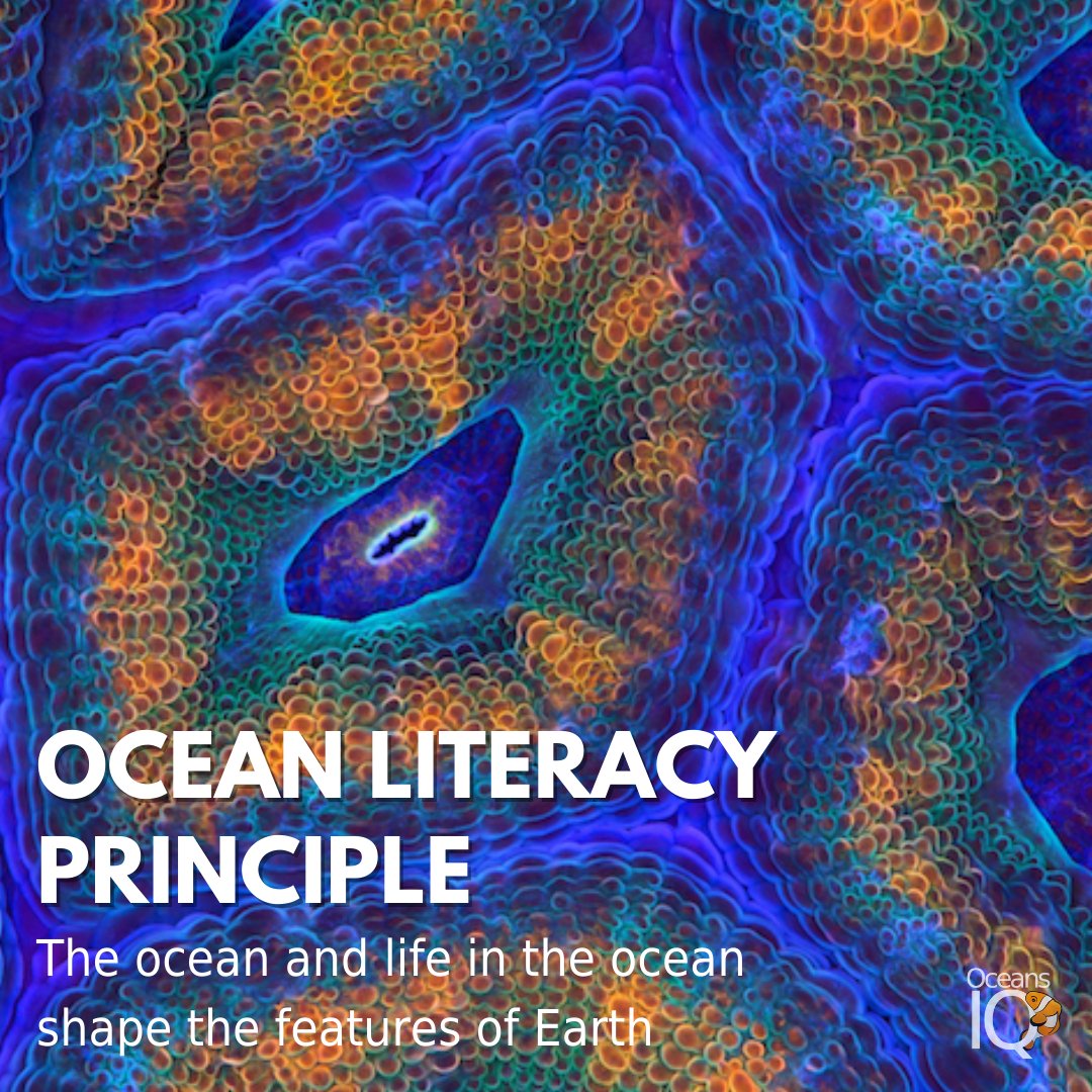 OceansIQ's tweet photo. The ocean has shaped the world we know today, even above water. 

Sea level changes over time have expanded and contracted continental shelves, created and destroyed inland seas and shaped the surface of the land.

#Ocean #Earth #SciComm #OceansIQ #OceanLiteracyPrinciple https://t.co/vJnw1MYwit