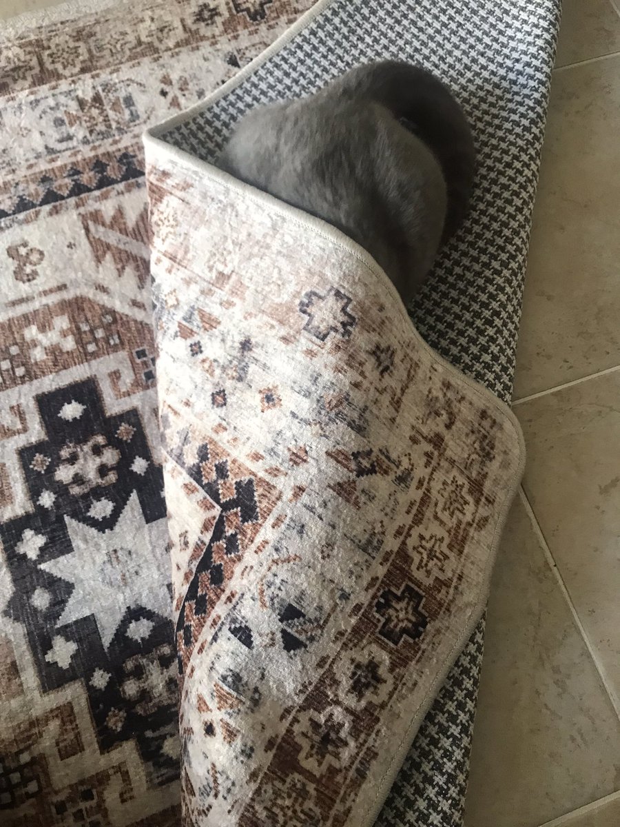 biras büyümüçüm ganiba tam saklanamıyoyum aydık