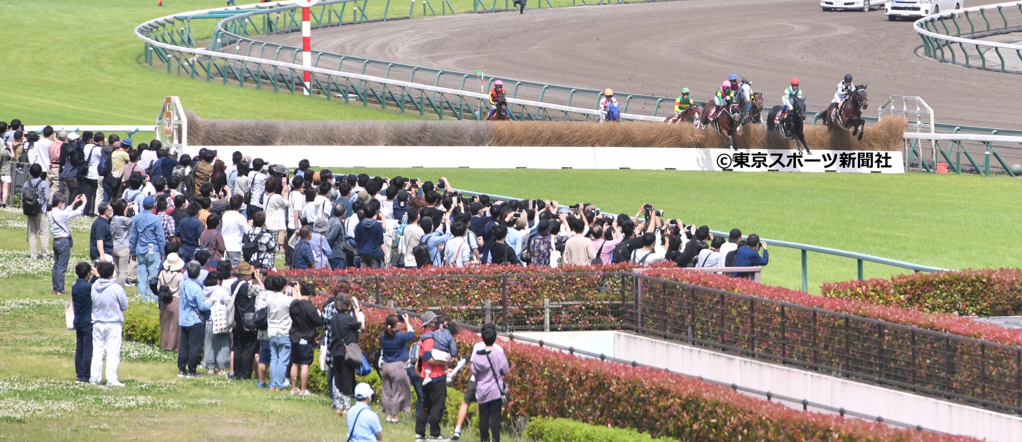 東スポ 写真部 on Twitter