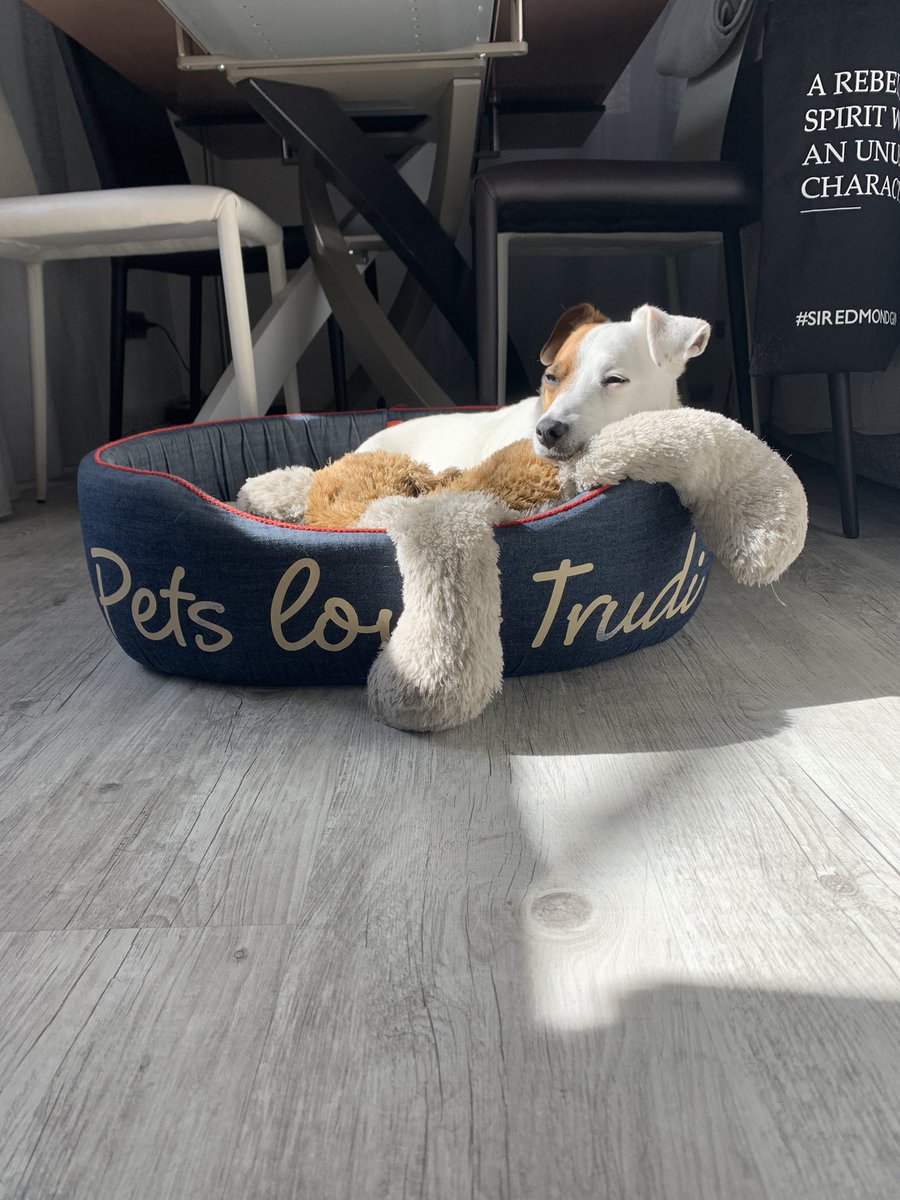 Mosca783's tweet image. Under the #Tuscan sun ☀️