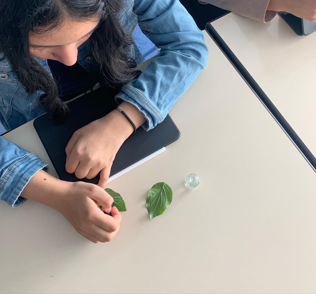See those circles? They’re small openings in leaves, called stomata. Thanks to these incredible specialised cells, we are able to live and breathe on this planet!
Year 9 did a ‘leaf peal’ practical today and observed the stomata of leaves found around our school. @KaemmerSchool