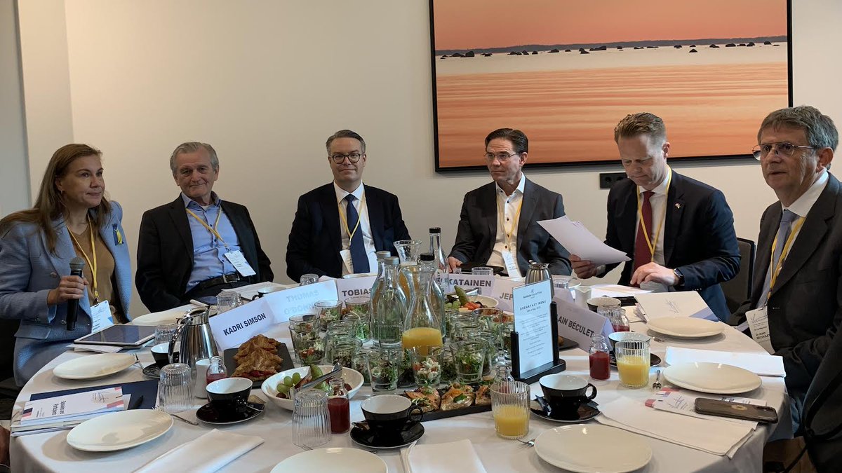 KadriSimson's tweet photo. Moderating a discussion on the options for a Sustainable Energy future at the #LennartMeriConference. 

The #EU 🇪🇺 #energy diversification is intertwined with Member States choices  – more diversity means stronger resilience to any external attempt to affect our #energysecurity. https://t.co/GV7CoNsQ9f