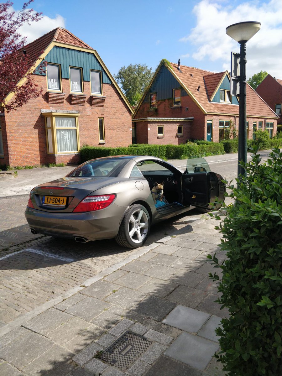 Hop in loser, we’re going to find poop