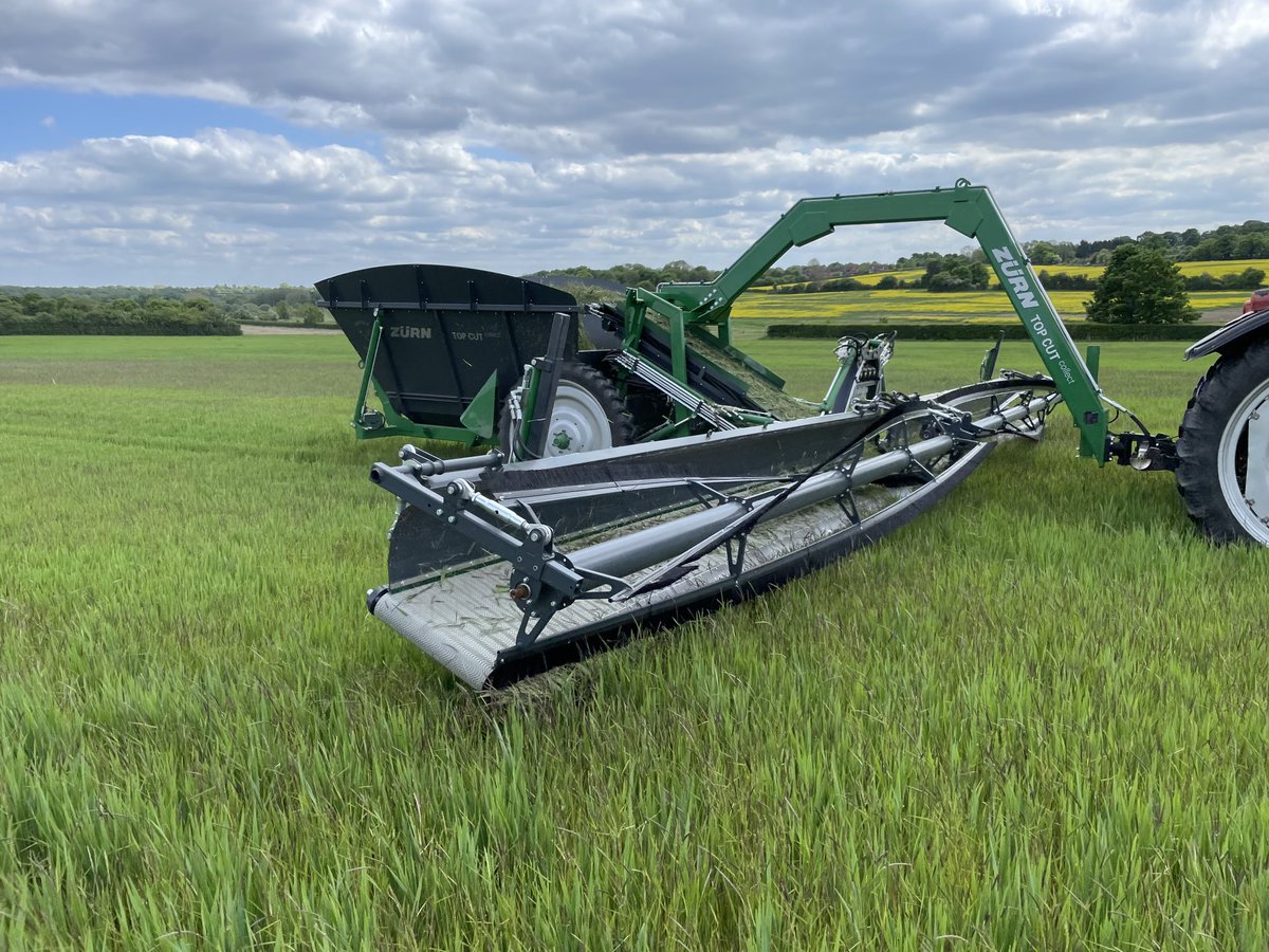 GeorgeDance99's tweet photo. First day in the field the season with the Top Cut Collect. Contractor Pasture Care removed black grass from oats for a customer. ⁦@Zurn_Harvesting⁩ #blackgrass #weedcontrol #econventionalfarming https://t.co/ccO262LAP6