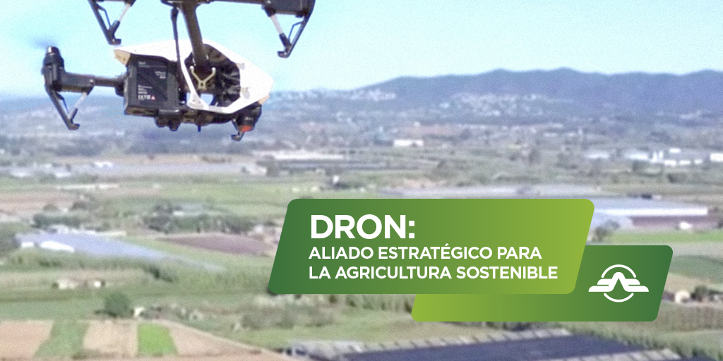 AEROFORDRON's tweet photo. La Organización de las Naciones Unidas para la Alimentación y la Agricultura (FAO) considera los drones como una herramienta agrícola capaz de contribuir a los Objetivos de Desarrollo Sostenible 👏🏼 👏🏼 #dron #agricultura #techfood #sostenibilidad #ODS #dronpilot #aeroforodron https://t.co/lCSsyXmpi1