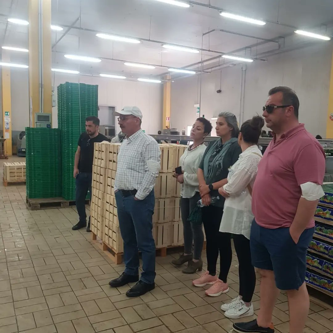 tobecoop's tweet image. Progresso Agricolo tarım kooperatifi ile tarım kooperatiflerinin nasıl çalıştığını keşfediyoruz. 
Meeting with Progresso Agricolo discovering how it works the agricultural cooperative.
@ABBaskanligi @DiyalogProjesi @Halieus_ @GktuDalgi