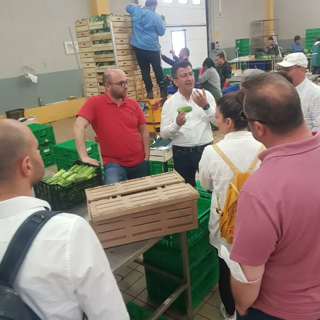 tobecoop's tweet image. Progresso Agricolo tarım kooperatifi ile tarım kooperatiflerinin nasıl çalıştığını keşfediyoruz. 
Meeting with Progresso Agricolo discovering how it works the agricultural cooperative.
@ABBaskanligi @DiyalogProjesi @Halieus_ @GktuDalgi