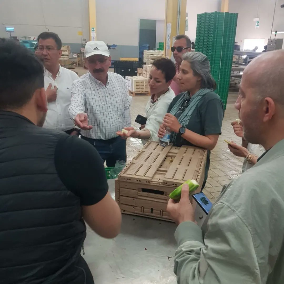 tobecoop's tweet image. Progresso Agricolo tarım kooperatifi ile tarım kooperatiflerinin nasıl çalıştığını keşfediyoruz. 
Meeting with Progresso Agricolo discovering how it works the agricultural cooperative.
@ABBaskanligi @DiyalogProjesi @Halieus_ @GktuDalgi