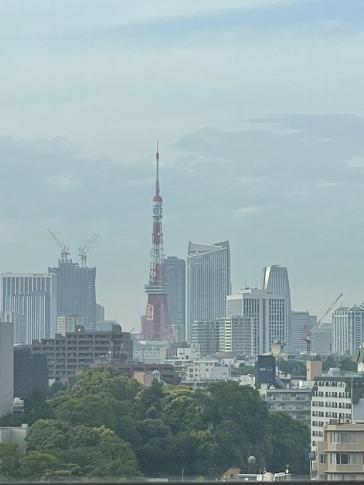 Aちゃん東京タワーだぁいすき? https://t.co/B5i7s5Q1Zi