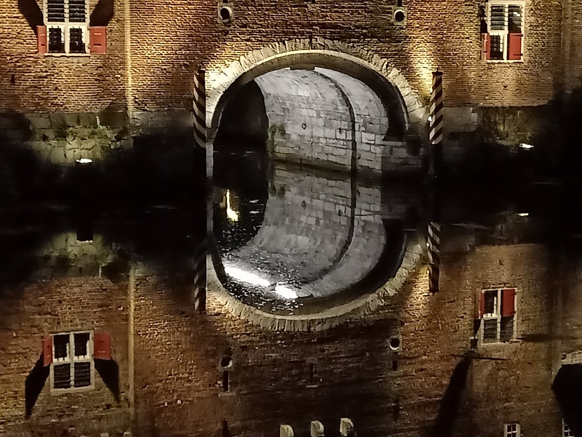 Lies Pannevis tweet media