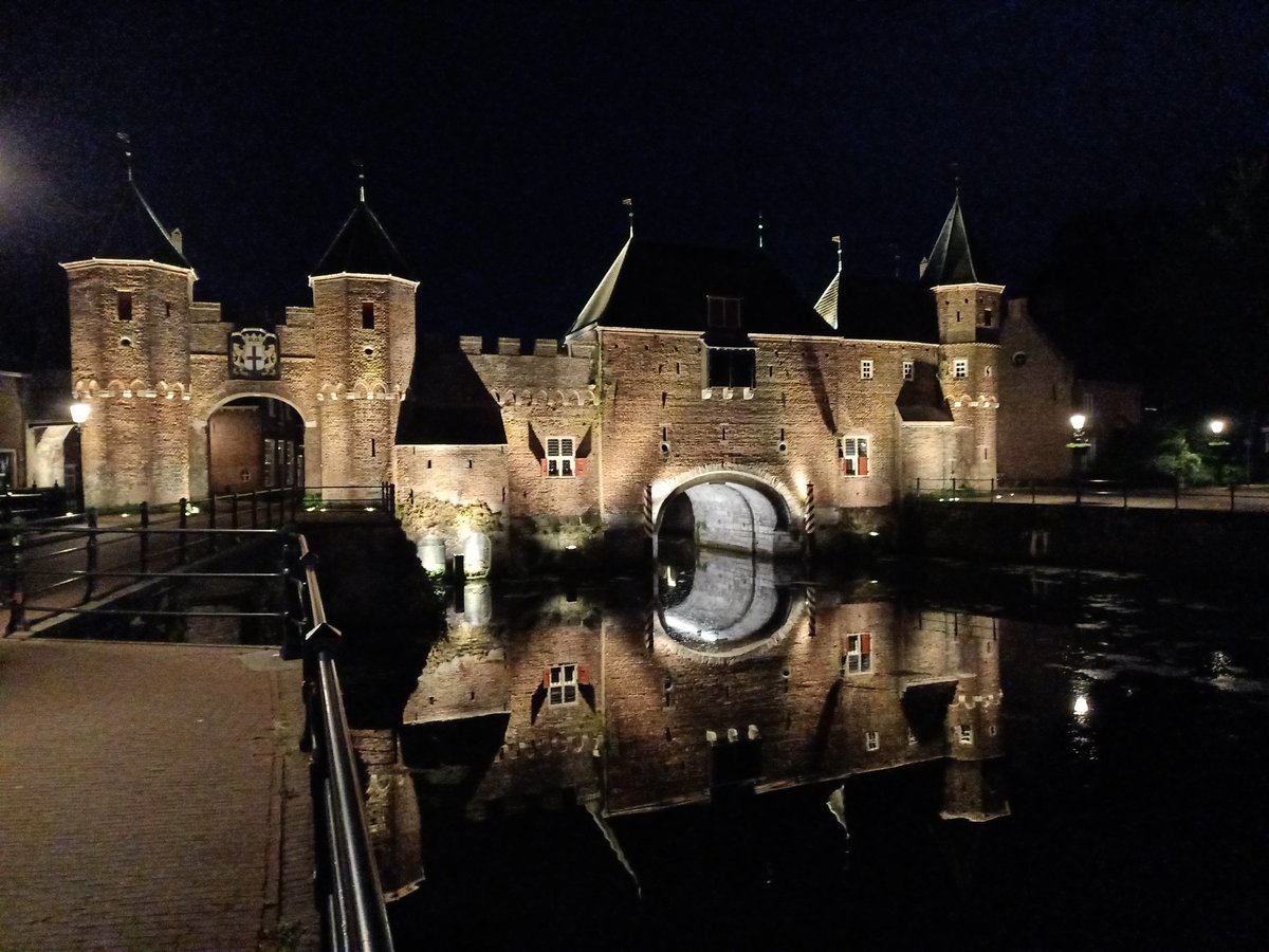 Lies Pannevis tweet media