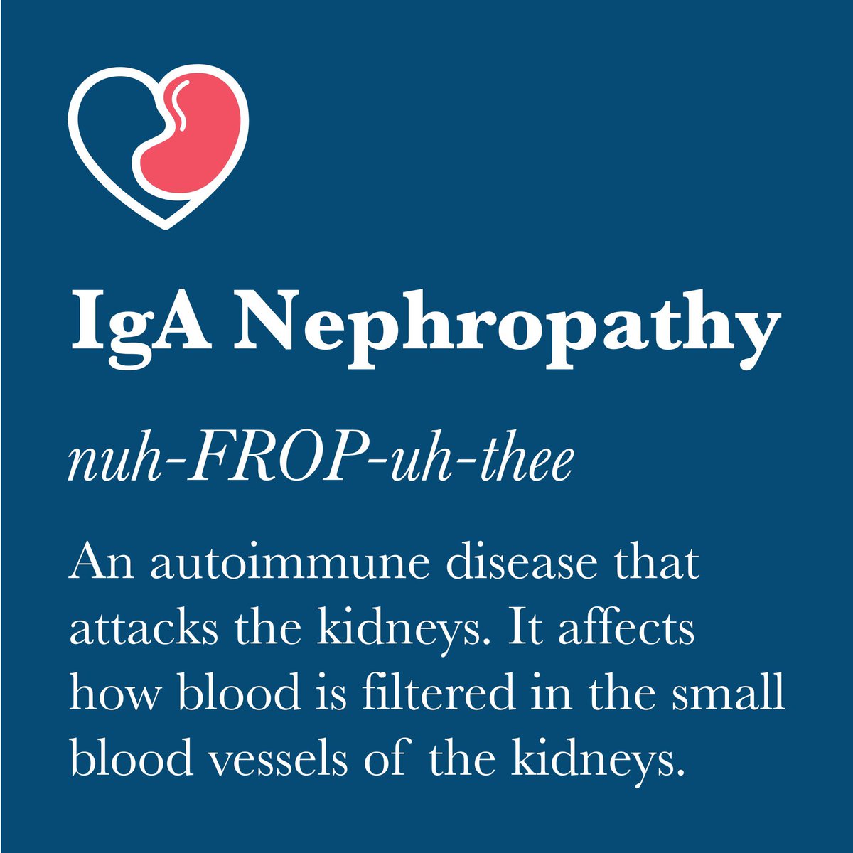 Comsky76's tweet photo. Today is the 1st ever IgA Nephropathy Day! #IgANephropathy is an autoimmune disease that causes kidney failure. The most common initial symptoms are bloody/brown urine &amp; blood pressure spikes. Learn more: @iganfoundation https://t.co/ItPDv1kWxa